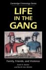 Image for Life in the gang  : family, friends, and violence