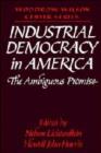 Image for Industrial Democracy in America