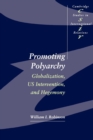 Image for Promoting Polyarchy
