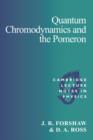 Image for Quantum chromodynamics and the Pomeron