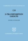 Image for 3-Transposition Groups
