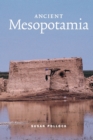 Image for Ancient Mesopotamia  : the Eden that never was