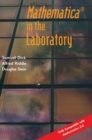 Image for Mathematica in the laboratory