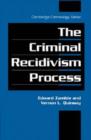 Image for The Criminal Recidivism Process