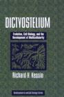 Image for Dictyostelium  : evolution, cell biology, and the development of multicellularity