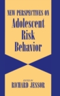Image for New Perspectives on Adolescent Risk Behavior