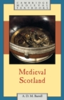 Image for Medieval Scotland