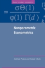 Image for Nonparametric econometrics