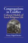 Image for Congregations in Conflict