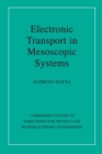 Image for Electronic transport in mesoscopic systems