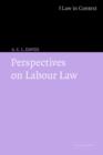 Image for Perspectives on Labour Law