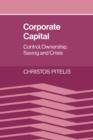 Image for Corporate Capital : Control, Ownership, Saving and Crisis