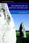 Image for The prehistory of Britain and Ireland : The Prehistory of Britain and Ireland