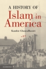 Image for A History of Islam in America
