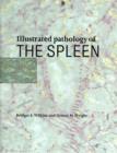 Image for Illustrated Pathology of the Spleen