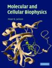 Image for Molecular and cellular biophysics