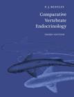 Image for Comparative Vertebrate Endocrinology