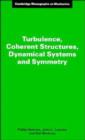 Image for Turbulence, Coherent Structures, Dynamical Systems and Symmetry