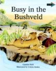 Image for Busy in the Bushveld South African edition