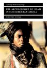 Image for The Archaeology of Islam in Sub-Saharan Africa
