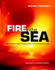 Image for Fire in the sea  : the Santorini volcano