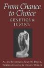 Image for From chance to choice  : genetics and justice