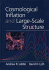 Image for Cosmological inflation and large scale structure
