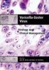 Image for Varicella-Zoster Virus