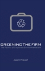 Image for Greening the Firm : The Politics of Corporate Environmentalism