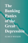Image for The banking panics of the Great Depression