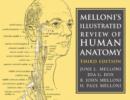 Image for Melloni&#39;s Illustrated Review of Human Anatomy
