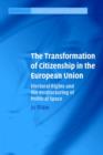 Image for The Transformation of Citizenship in the European Union