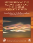 Image for Safeguarding the Ozone Layer and the Global Climate System