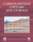 Image for Carbon Dioxide Capture and Storage