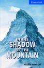 Image for In the shadow of the mountains