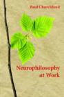 Image for Neurophilosophy at Work