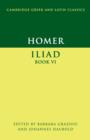 Image for Homer, Iliad book VI