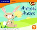 Image for i-read Year 1 Anthology: Animal Antics