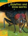 Image for Pobblebonk Reading 4.4 Blowflies and Glow Worms