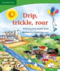 Image for Drip, trickle, roar! (English)