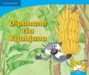 Image for Dipanana tsa Kgabjana (Sepedi)