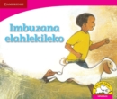 Image for Imbuzana elahlekileko (IsiNdebele)