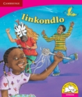Image for Iinkondlo (IsiNdebele)