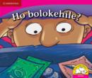 Image for Ho bolokehile? (Sesotho)