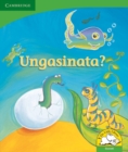 Image for Ungasinata? (Siswati)