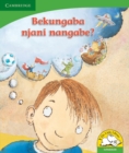 Image for Bekungaba njani nangabe? (IsiNdebele)