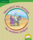 Image for Murunzi wa donngi na zwinwe zwitori (Tshivenda)