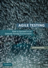 Image for Agile Testing