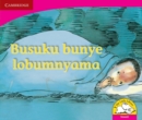 Image for Busuku bunye lobumnyama (Siswati)