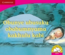 Image for Obunye ubusuku obabumnyama kakhulu kabi (IsiZulu)